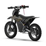 WARRIOR KIDS SX-E500 Electric Bike