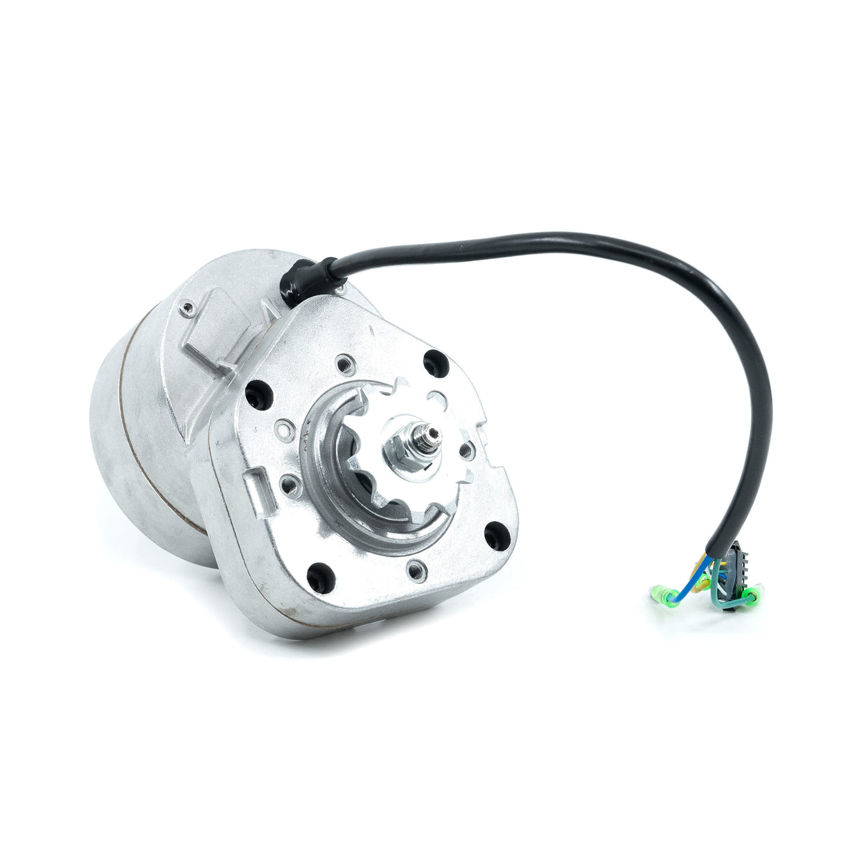 Warrior 250 Motor