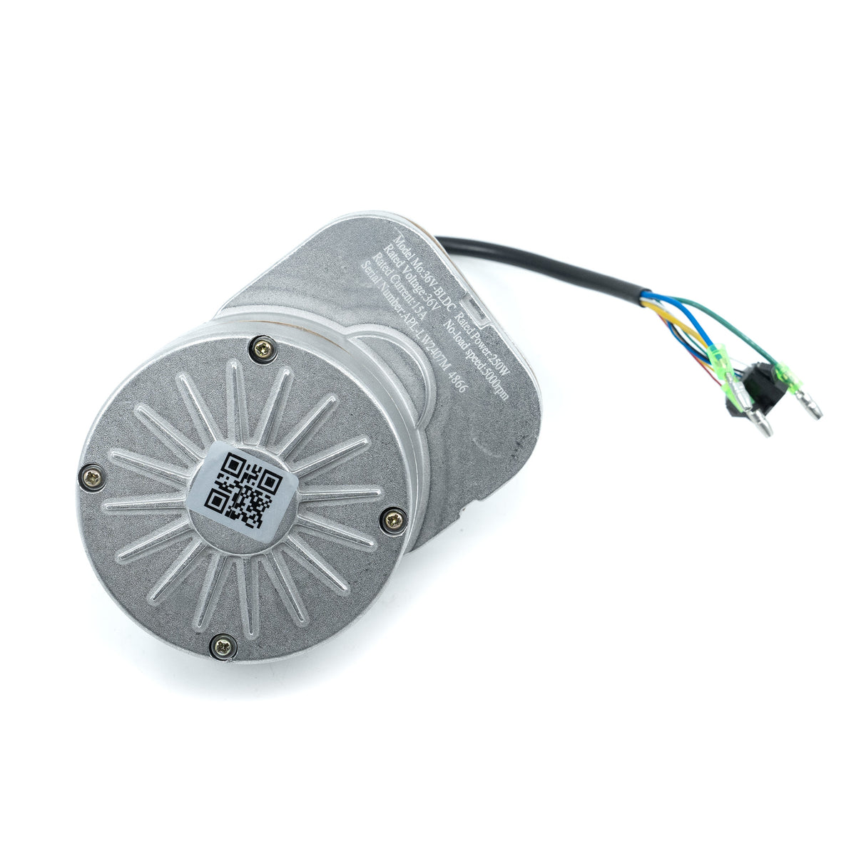 Warrior 250 Motor